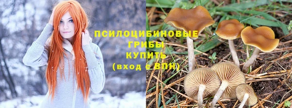 спиды Нягань