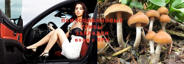 спиды Ленск